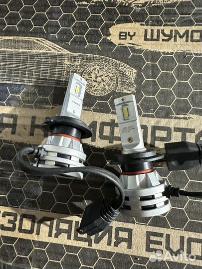 Narva LED лампы h7