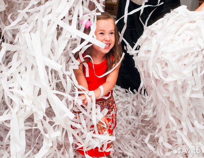 Аниматоры на день рождения