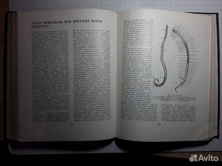Жизнь животных. Том 1. Беспозвоночные