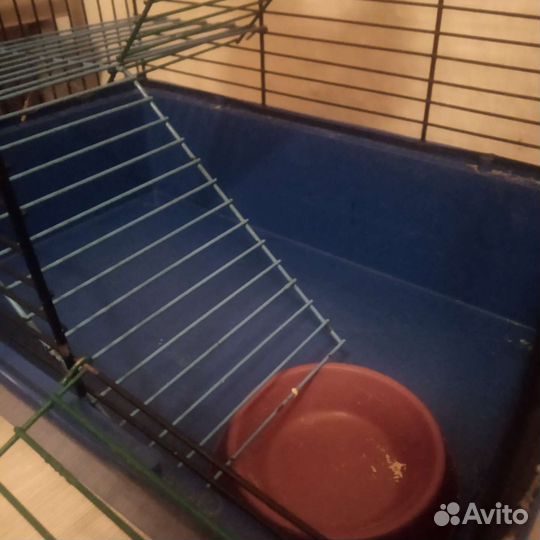 Клетка для крысы