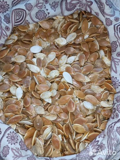 Семена тыквы