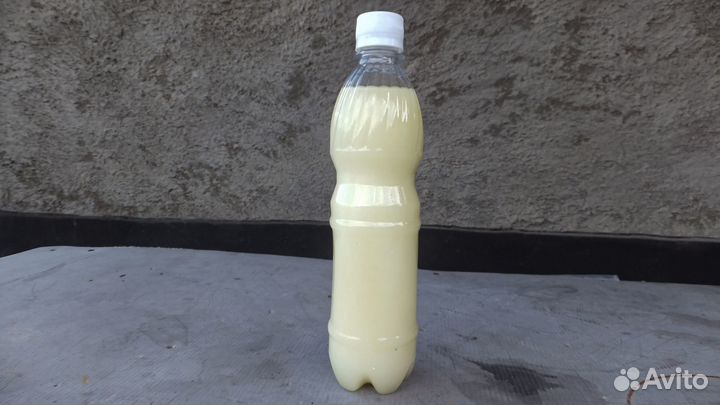 Жир Сурковый натуральный у охотника 2023 года