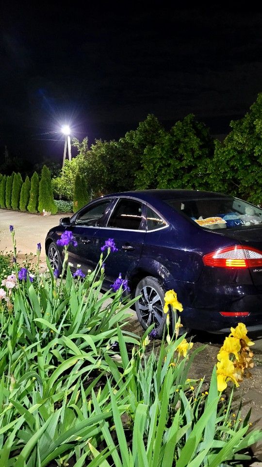 Ford Mondeo: фото владельца