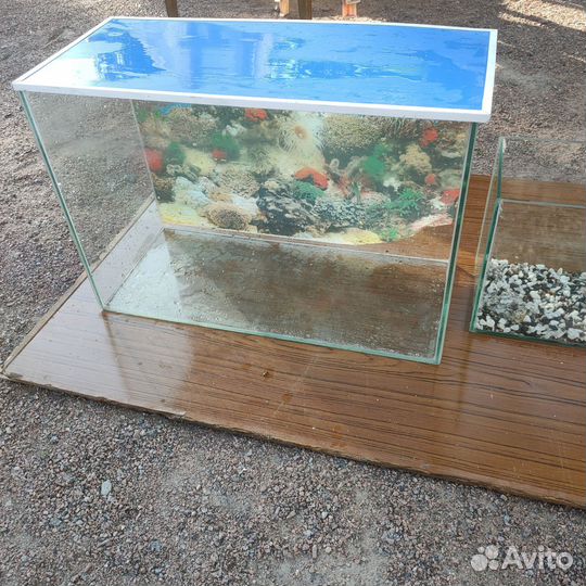 Аквариум