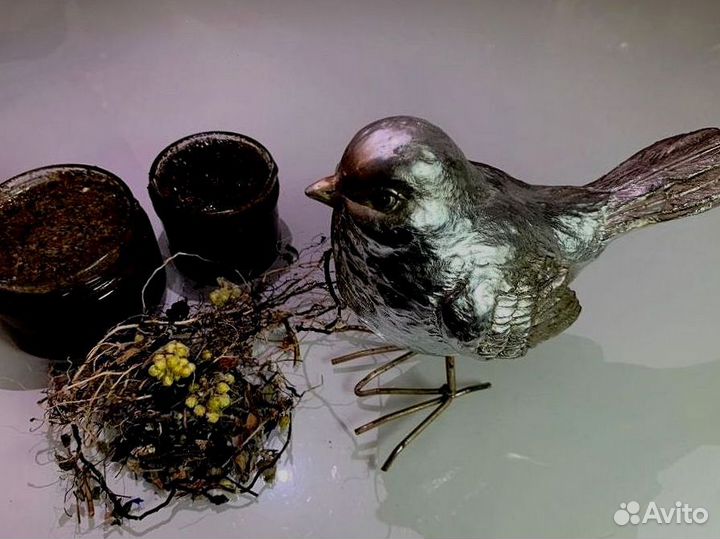 Мед для наслаждений по ночам