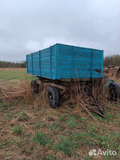 Трактор МТЗ (Беларус) 80, 1981