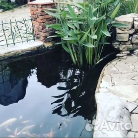 Садовые пруды AL-KO – купить в Москве недорого, цена в интернет-магазине