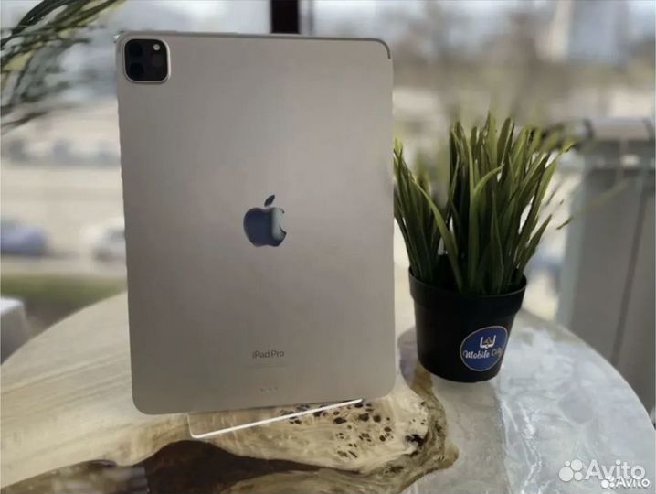 iPad Pro 11