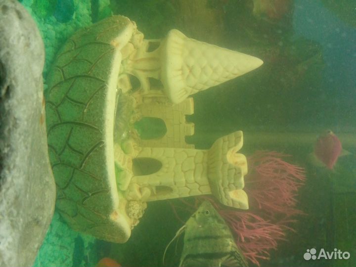 Аквариум с рыбками