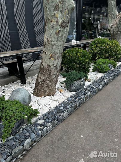 Уличные вазоны