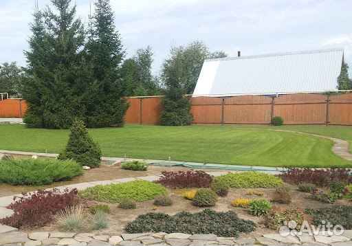 Рулонный газон напрямую от производителя