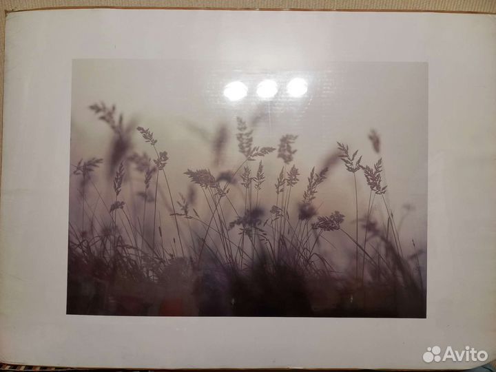 Фотокартина