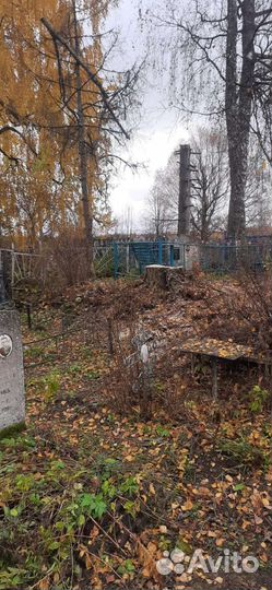 Спил, удаление, вырубка деревьев