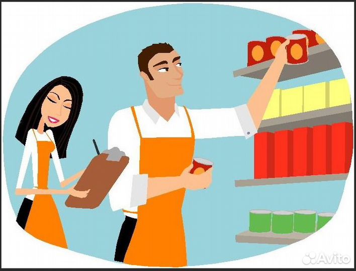 Мобильный мерчендайзер (Воронеж)