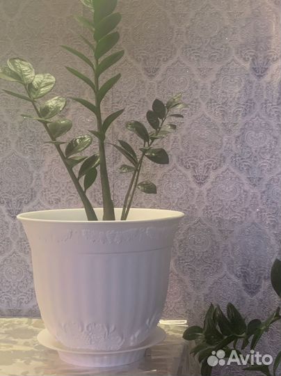 Кашпо 18л,бесплатная доставка