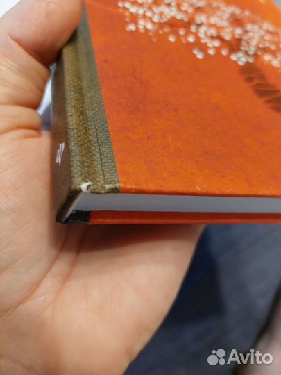 Книга Соломатина 