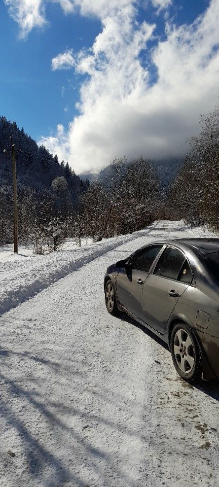 Nissan Primera: фото владельца