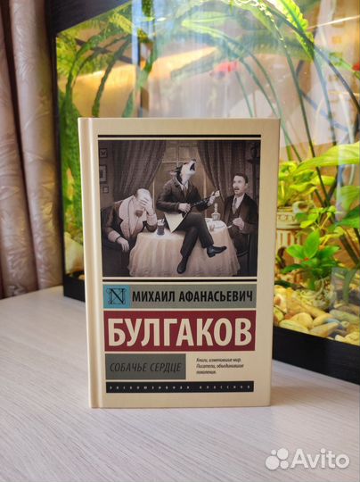 Собачье сердце Булгаков