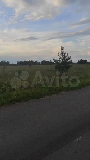 Участок 12,8 сот. (ИЖС)