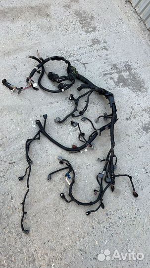 Моторная проводка Ниссан Теана 32 2.5