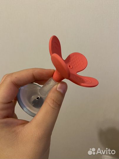 Грызунок pigeon