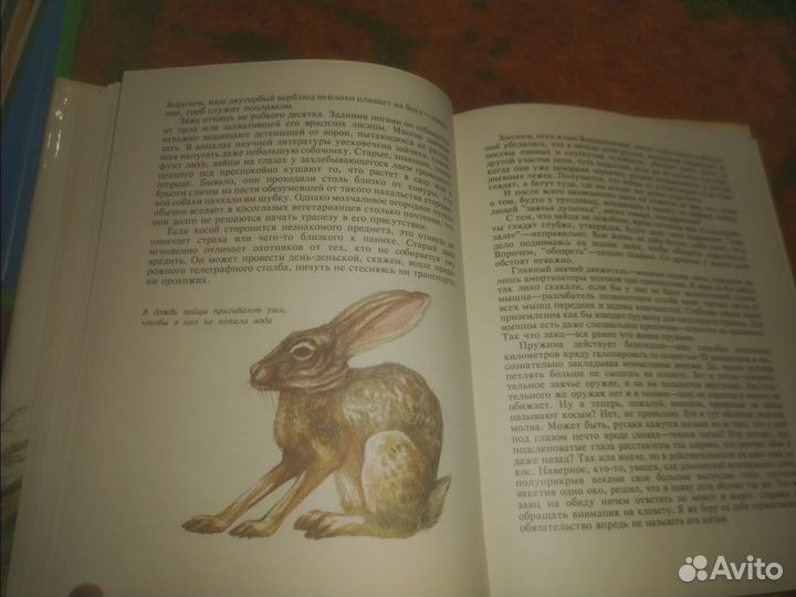 Замечательные звери Росмэн Станислав Стариков