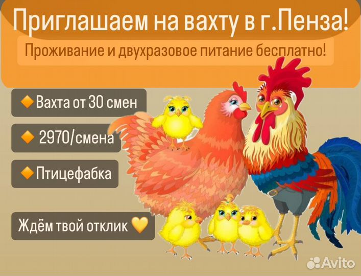 Упаковщик на Птицефабрику/Вахта Проживание Питание