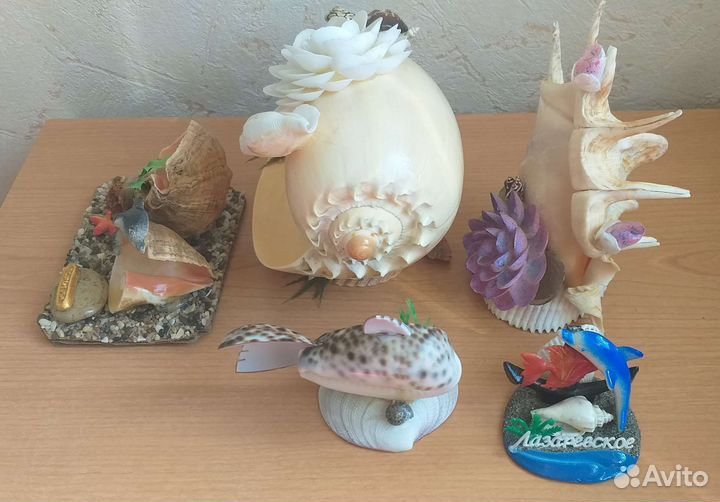 Композиции из морских ракушек