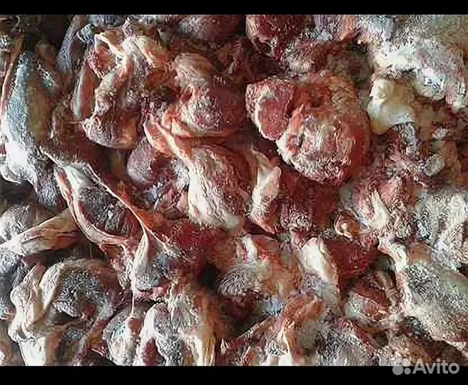 Мясо говядина для собак, калтык говяжий