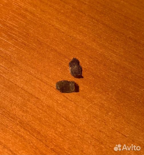 Проводные наушники EarPods, Lightning, Оригинал