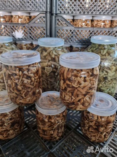 Грузди соленые, грибы маринованые