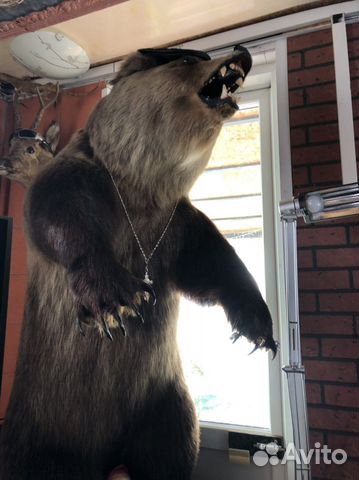 Искусственное чучело мишки