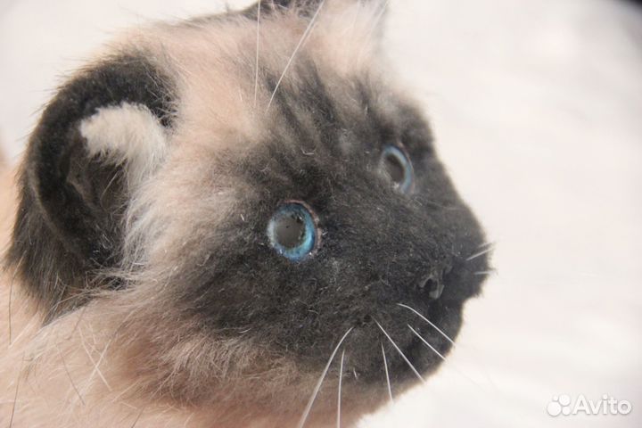 Реалистичная кошечка Дикси