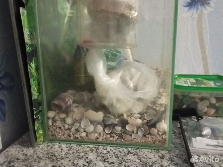 Аквариум