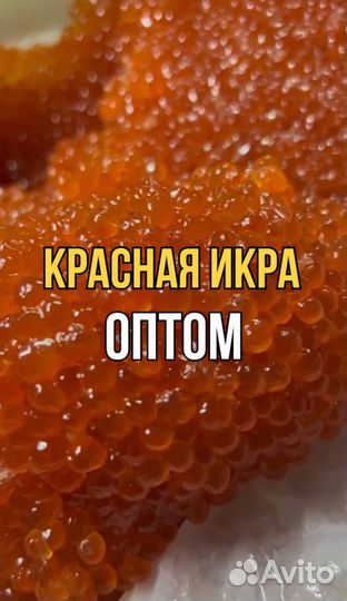 Красная икра оптом