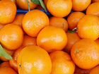 Стикеровщик апельсинов