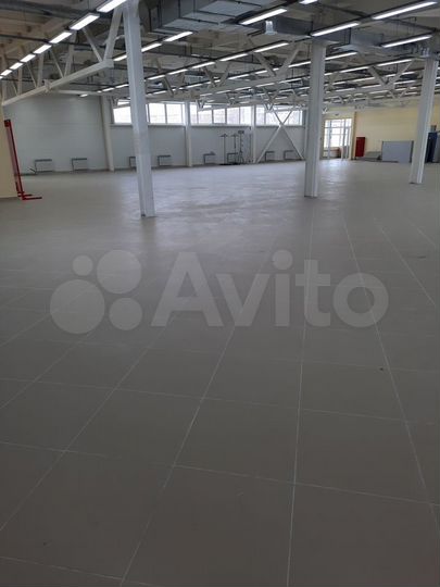Торговая площадь, 680 м²