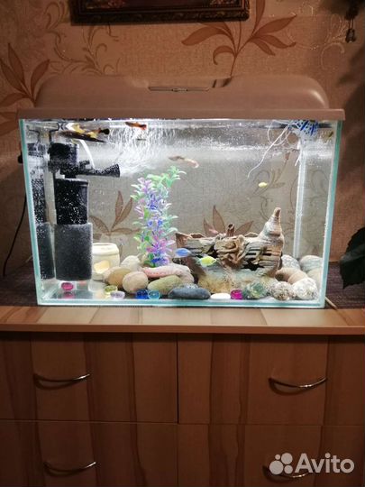 Аквариум