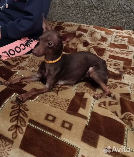 Девочка ищет мальчика