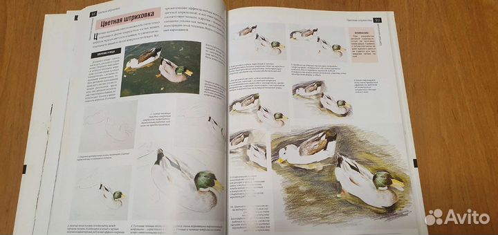 Книга Всё о технике: Рисунок