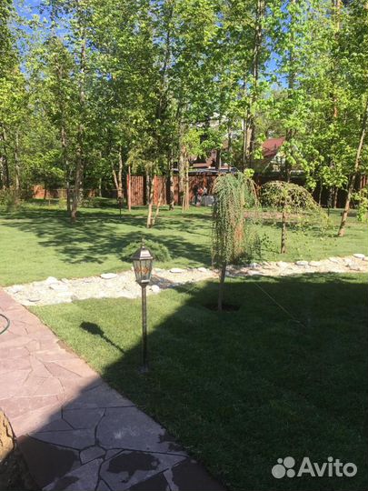 Укладка газона эконом