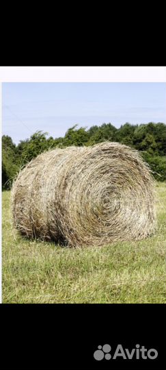 Доставка сельскохозяйственных кормов