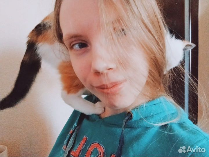 Присмотрю за вашим питомцем