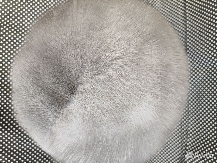 Шапка норковая женская