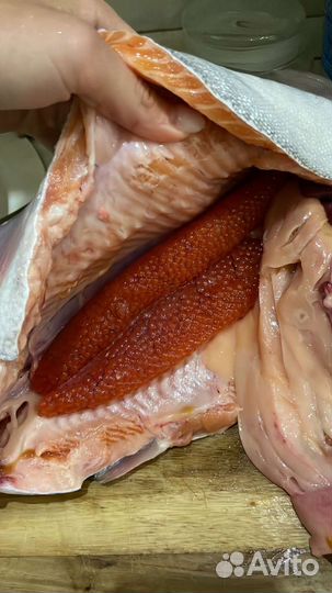 Свежая форель