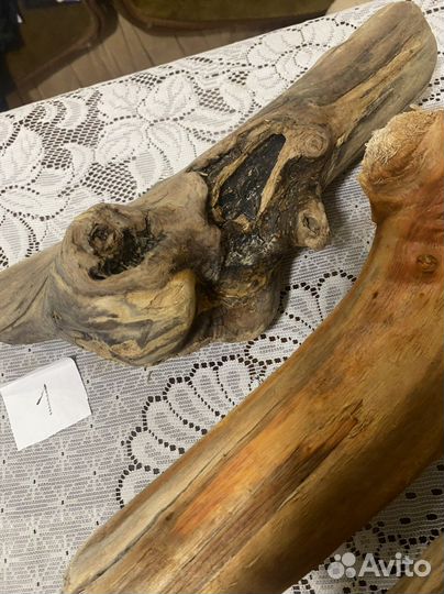 Дрифтвуд морские коряги