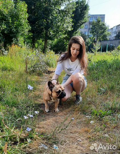 Передержка животных