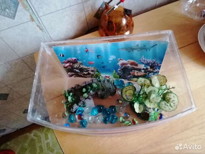 Миниаквариум