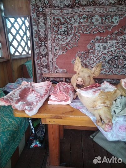 Мясо свинины домашнее