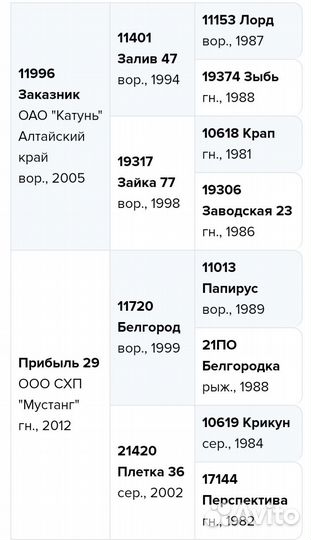 Жеребец орловский рысак